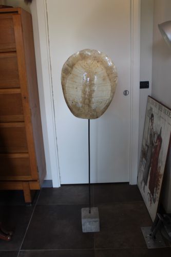 4633 (4) (Grande).jpeg